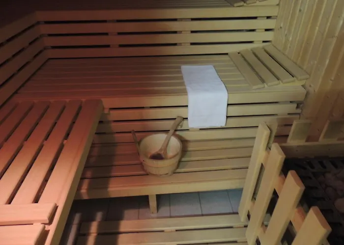 Airport Business 酒店 3*